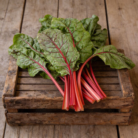 Ruby Red, Swiss Chard Seeds - Packet image number null